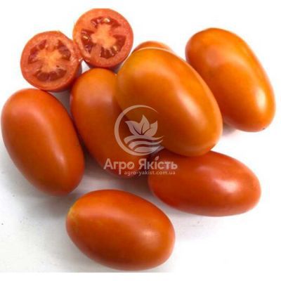 Томат Оранж Плам F1 / Orange Plum F1 20 насінин, детермінантний (Spark Seeds)