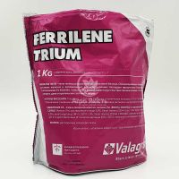 ФЕРРІЛЕН ТРІУМ / FERRILENE TRIUM 1 кг - хелат заліза (Valagro)