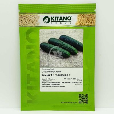 Огурец Синклер (КС 80) F1 / Sincler (KS 80) F1 1000 семян, партенокарпический (Kitano Seeds)