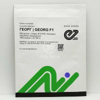 Огірок Георг F1 / Georg F1 500 насінин, партенокарпічний (Enza Zaden)