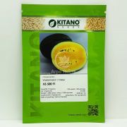 Арбуз КС 500 F1 / KS 500 F1 100 семян (Kitano Seeds)