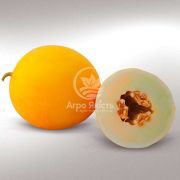 Дыня Шинари F1 / Shinari F1 10 семян (Kitano Seeds)