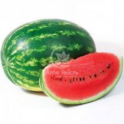 Арбуз КС 633 F1 / KS 633 F1 10 семян (Kitano Seeds)
