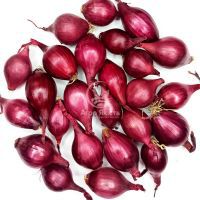 Цибуля сіянка Редровер (Ромі) 0,5 кг, 8/16 мм (Triumfus Onion Products)