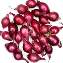 Цибуля сіянка Редровер (Ромі) 0,5 кг, 8/16 мм (Triumfus Onion Products)