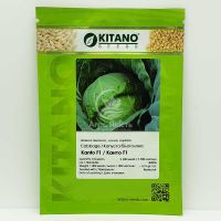 Капуста білоголова Канто F1 / Kanto F1 2500 насінин (Kitano Seeds)