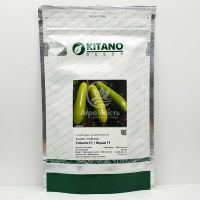 Кабачок Язума F1 / Yazuma F1 1000 семян, кустовой (Kitano Seeds)