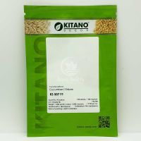 Огірок КС 507 F1 / KS 507 F1 100 насінин, партенокарпічний (Kitano Seeds)