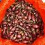 Цибуля сіянка Ред Кармен 0,5 кг, 10/21 мм (Triumfus Onion Products)