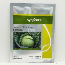 Капуста білоголова Болікор F1 / Bolicor F1 2500 насінин (Syngenta)