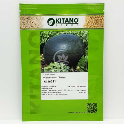 Кавун КС 160 F1 / KS 160 F1 100 насінин (Kitano Seeds)