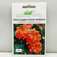 Кроссандра Тропік червона 4 насінини (Hem Genetics)