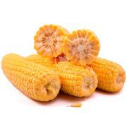 Кукурудза цукрова Сансвіт F1 / Sunsweet F1 1000 насінин, суперсолодка (Libra Seeds)