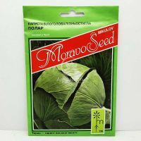 Капуста білоголова Полар (Олімп) 10 грам (MoravoSeed)