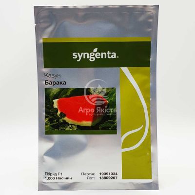 Арбуз Барака F1 / Baraka F1 1000 семян (Syngenta)