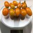 Томат Миникин F1 / Minikin F1 500 семян, детерминантный (Spark Seeds)