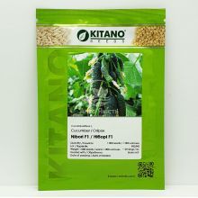 Огурец Нибор (КС 90) F1 / Nibori (KS 90) F1 1000 семян, партенокарпический (Kitano Seeds)