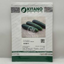 Огурец Синклер (КС 80) F1 / Sincler (KS 80) F1 500 семян, партенокарпический (Kitano Seeds)