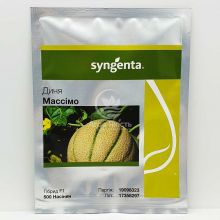 Дыня Массимо F1 / Massimo F1 500 семян (Syngenta)