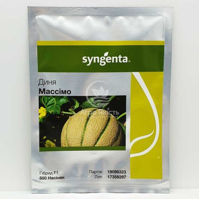 Дыня Массимо F1 / Massimo F1 500 семян (Syngenta)