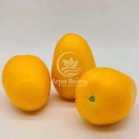 Томат КС 221 F1 / KS 221 F1 500 насінин, індетермінантний (Kitano Seeds)