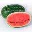 Арбуз КС 632 F1 / KS 632 F1 10 семян (Kitano Seeds)