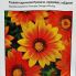 Газания карликовая Промеза оранжевая с ободком 10 семян (Hem Zaden)