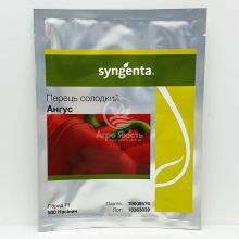 Перец Ангус F1 / Angus F1 500 семян, сладкий (Syngenta)