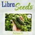 Огурец Астон F1 / Aston F1 250 семян, партенокарпический (Libra Seeds)