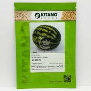 Кавун КС 633 F1 / KS 633 F1 100 насінин (Kitano Seeds)