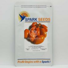 Томат Ремембе F1 / Remember F1 250 насінин, індетермінантний (Spark Seeds)