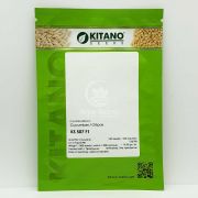 Огірок КС 507 F1 / KS 507 F1 250 насінин, партенокарпічний (Kitano Seeds)