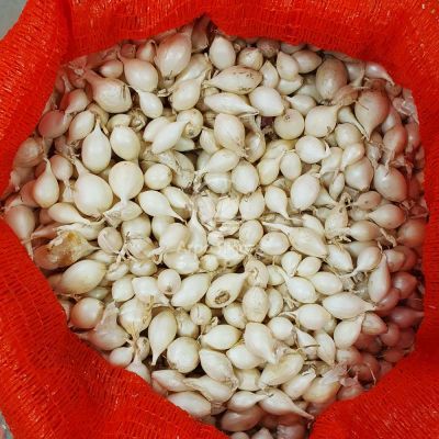 Лук севок Айсперл 1 кг, 10/21 мм (Broer), 10/21 мм (Broer)