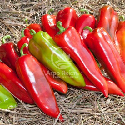 Перець Шинако F1 / Shinako F1 10 насінин, солодкий (Kitano Seeds)
