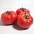 Томат КС 1157 F1 / KS 1157 F1 10 насінин, індетермінантний (Kitano Seeds)
