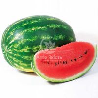 Арбуз Найси F1 / Naisy F1 10 семян (Kitano Seeds)