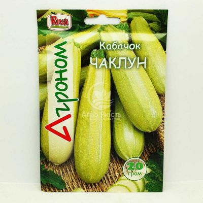 Кабачок Колдун 20 грамм, кустовой (Агроном)