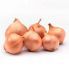 Цибуля сіянка шалот Шелія (Бістро) 1 кг, 22/48 мм (Triumfus Onion Products)