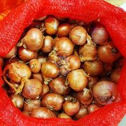 Лук севок шалот Шелия (Бистро) 1 кг, 22/48 мм (Triumfus Onion Products)