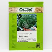 Капуста брокколи Кези F1 / Cazzy F1 1000 семян (Kitano Seeds)