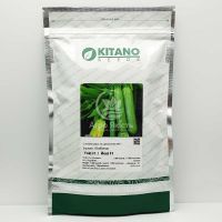 Кабачок Йоки F1 / Yoki F1 1000 семян, кустовой (Kitano Seeds)