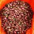 Лук севок Редровер (Роми) 0,5 кг, 8/16 мм (Triumfus Onion Products)