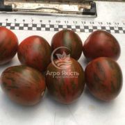 Томат Маритта F1 / Maritta F1 250 семян, индетерминантный (Spark Seeds)