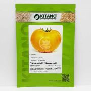 Томат Ямамото (КС 10) F1 / Yamamoto (KS 10) F1 100 насінин, індетермінантний (Kitano Seeds)