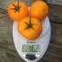 Томат Йеллоу Болл F1 / Yellow Boll F1 250 семян, индетерминантный (Spark Seeds)