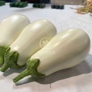 Баклажан Албана F1 (ЦРХ 50187 F1) / Albana F1 (CRX 50187 F1) 250 насінин (Cora seeds)