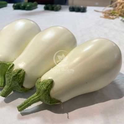Баклажан Албана F1 (ЦРХ 50187 F1) / Albana F1 (CRX 50187 F1) 250 насінин (Cora seeds)