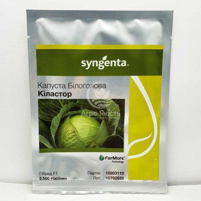 Капуста білоголова Кіластор F1 / Kilastor F1 2500 насінин (Syngenta)