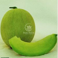 Диня Міра F1 / Mirra F1 10 насінин (Kitano Seeds)