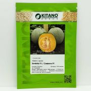 Диня Севінта F1 / Sevinta F1 100 насінин (Kitano Seeds)